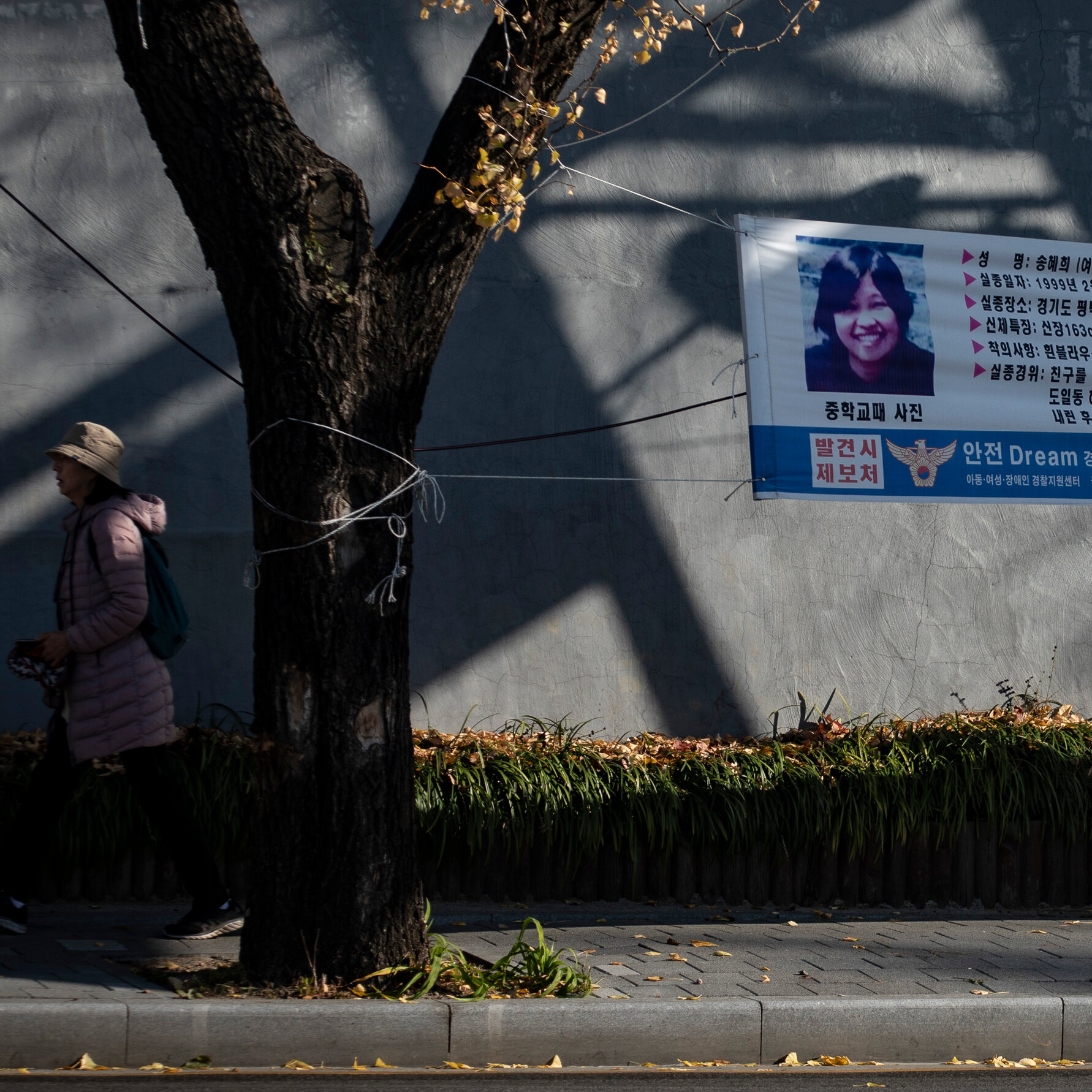 A Father’s Search for His Missing Daughter in South Korea