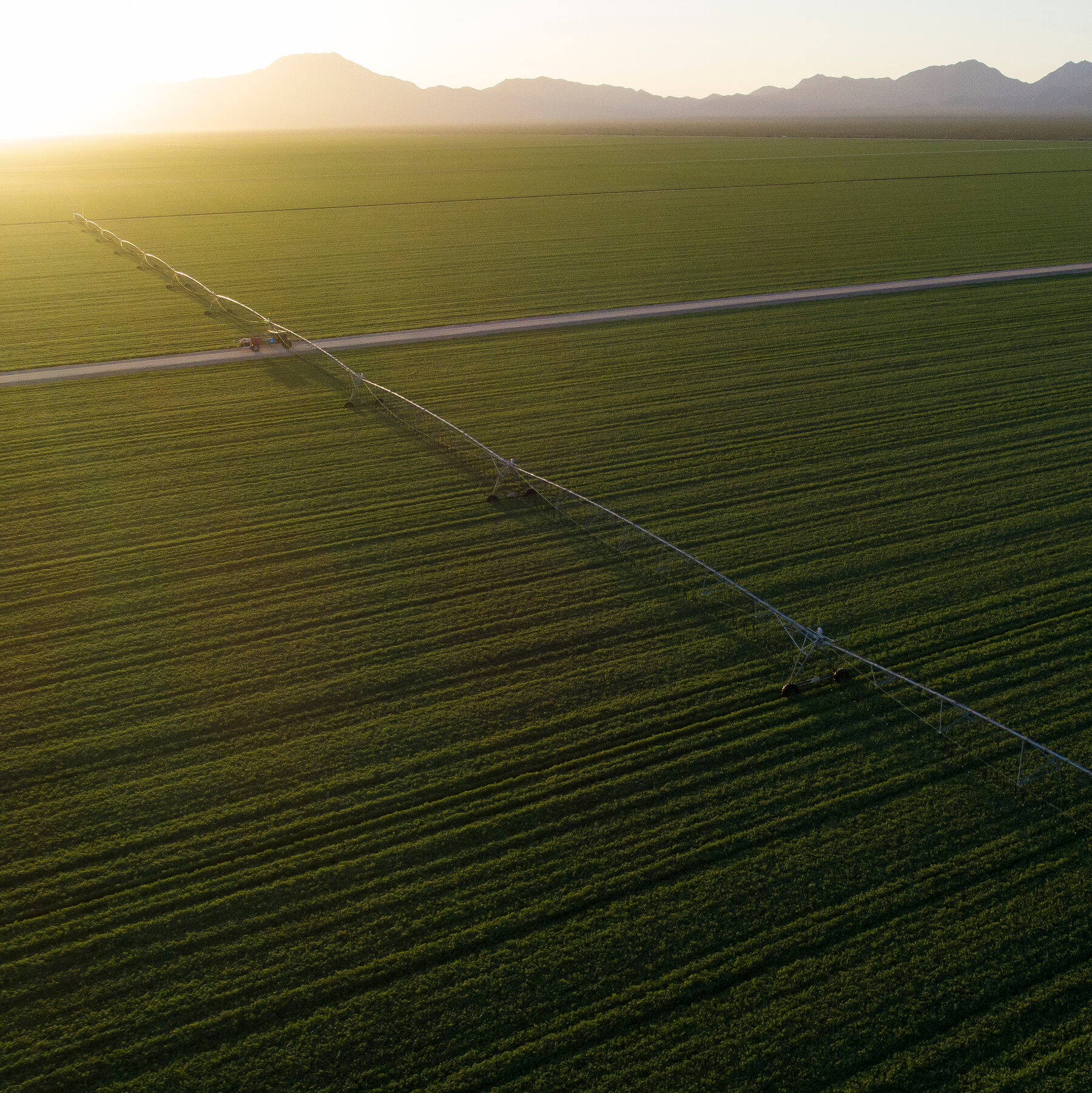 As Congress Feuds Over Farm Bill, Growers Are ‘Stuck in Limbo’