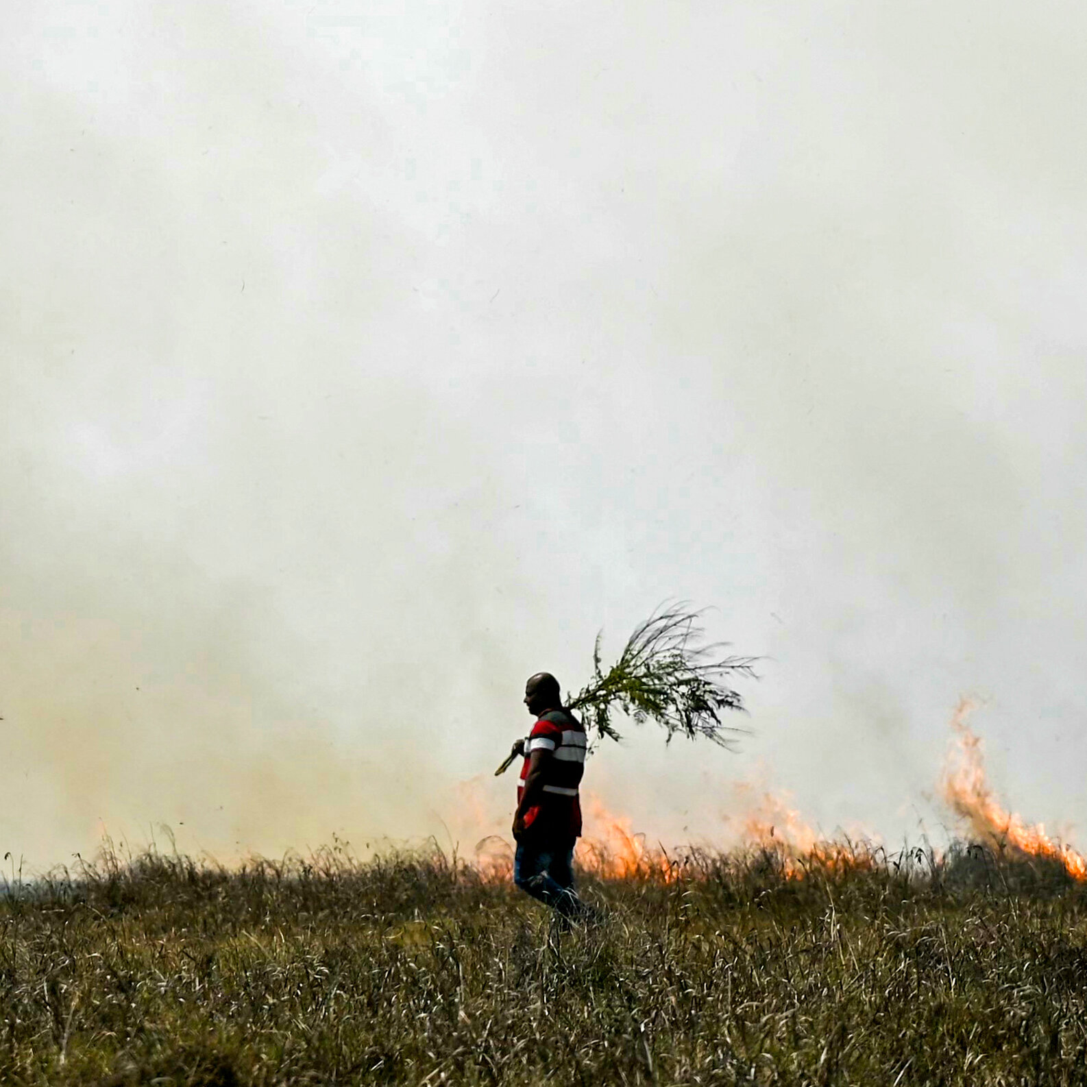 At COP29 Politicians Are Talking About Climate Change. Here’s What’s Happening.