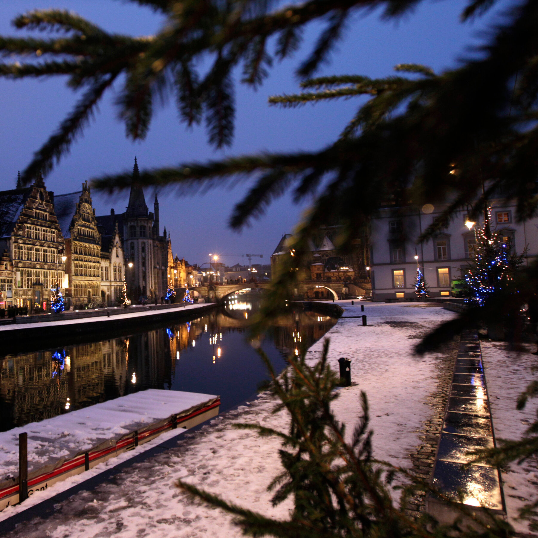 Belgium’s Food Agency Advises Against Eating Your Christmas Tree