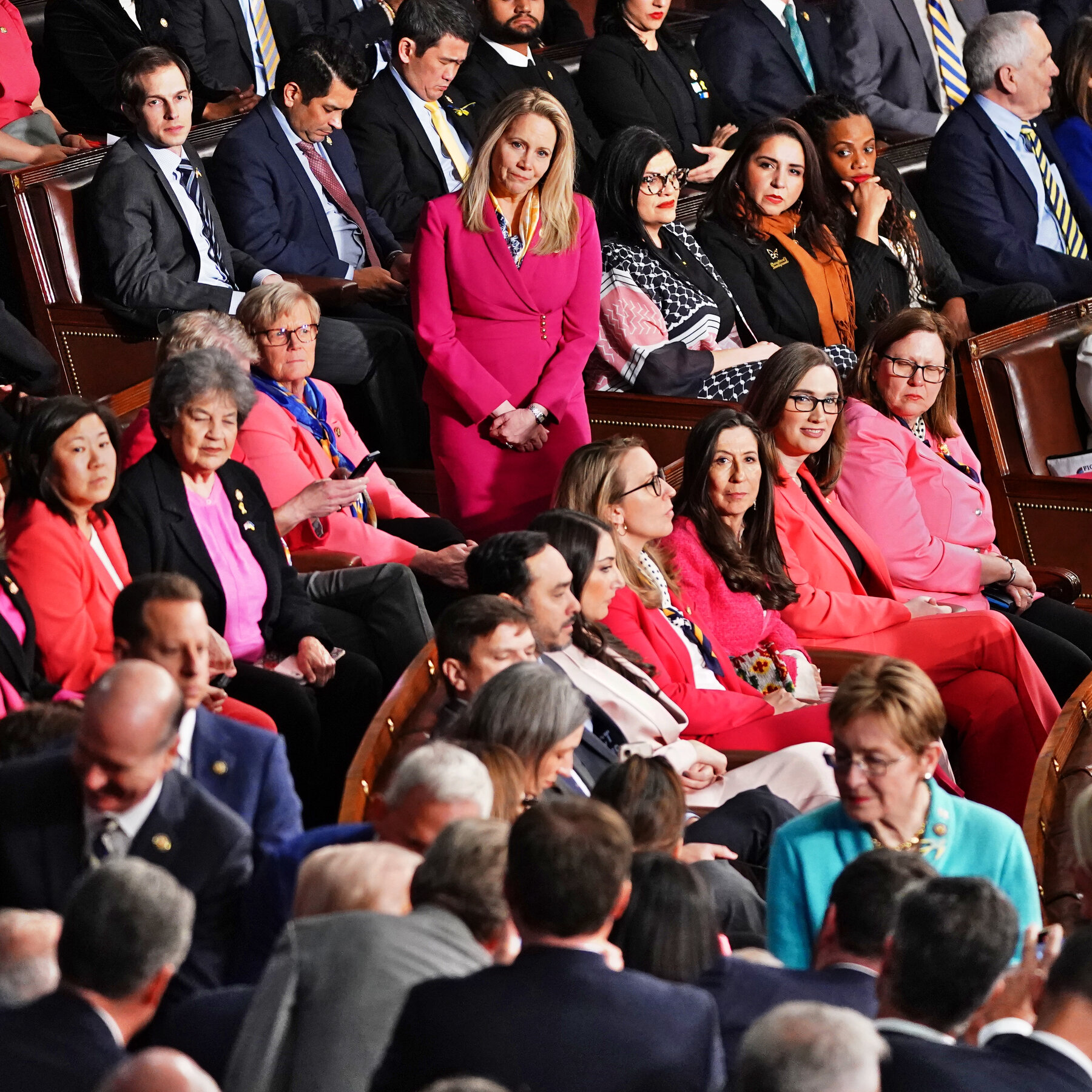 Democrats Appear in Pink to Protest