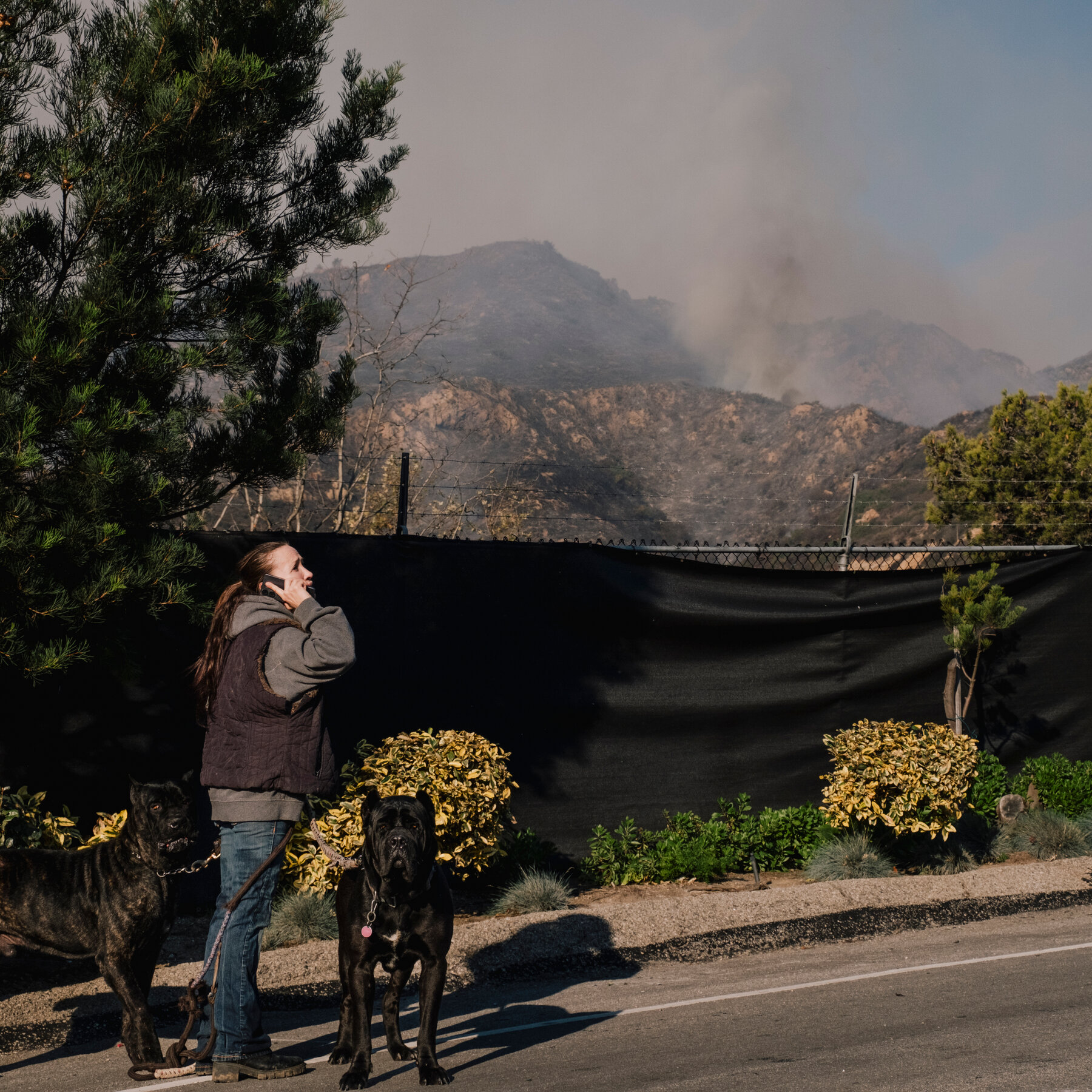 Dick Van Dyke and Cher Flee Their Malibu Homes as Franklin Fire Burns