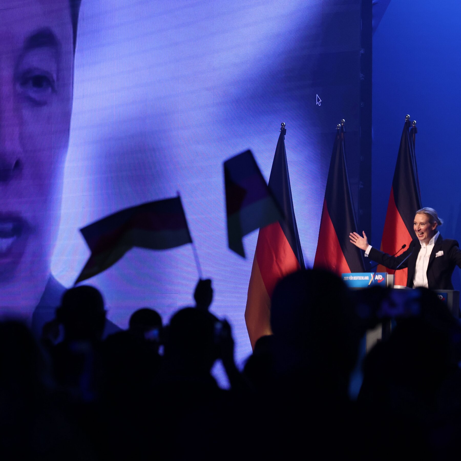 Elon Musk Congratulates AfD Leader on Germany’s Election Results