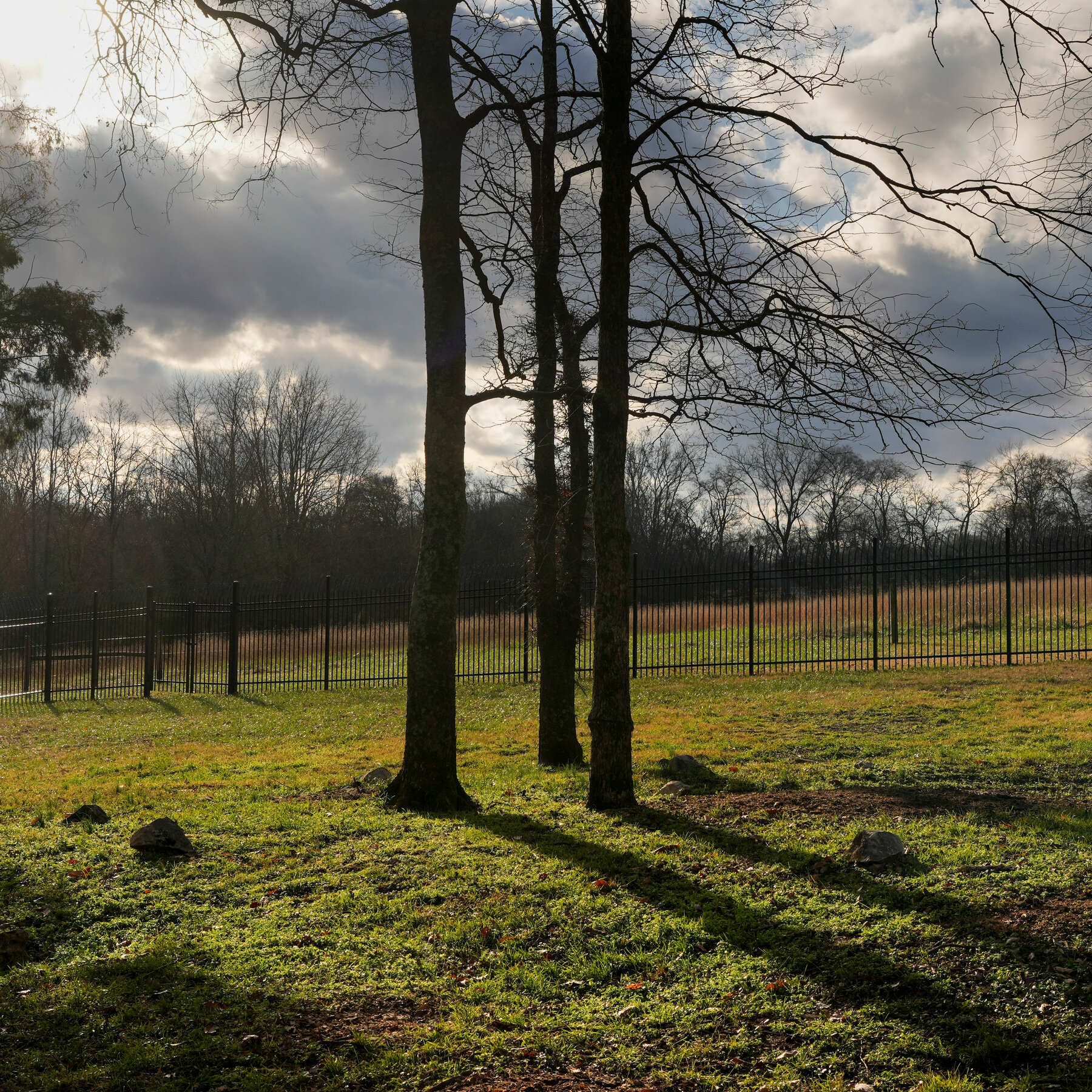 Enslaved People’s Graves Discovered at Andrew Jackson’s Hermitage