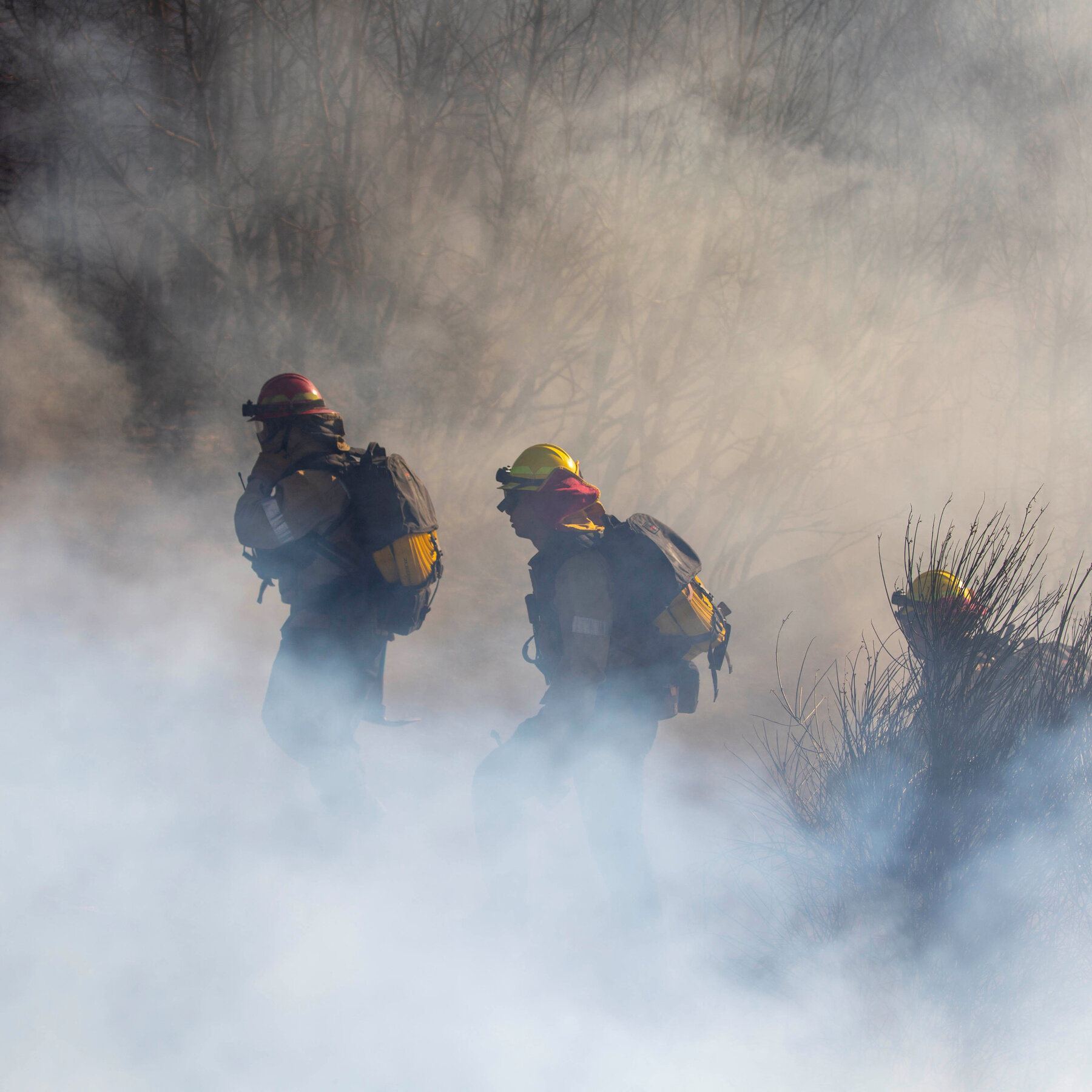 Firefighters Protect Mt. Wilson Observatory From Eaton Fire in L.A.