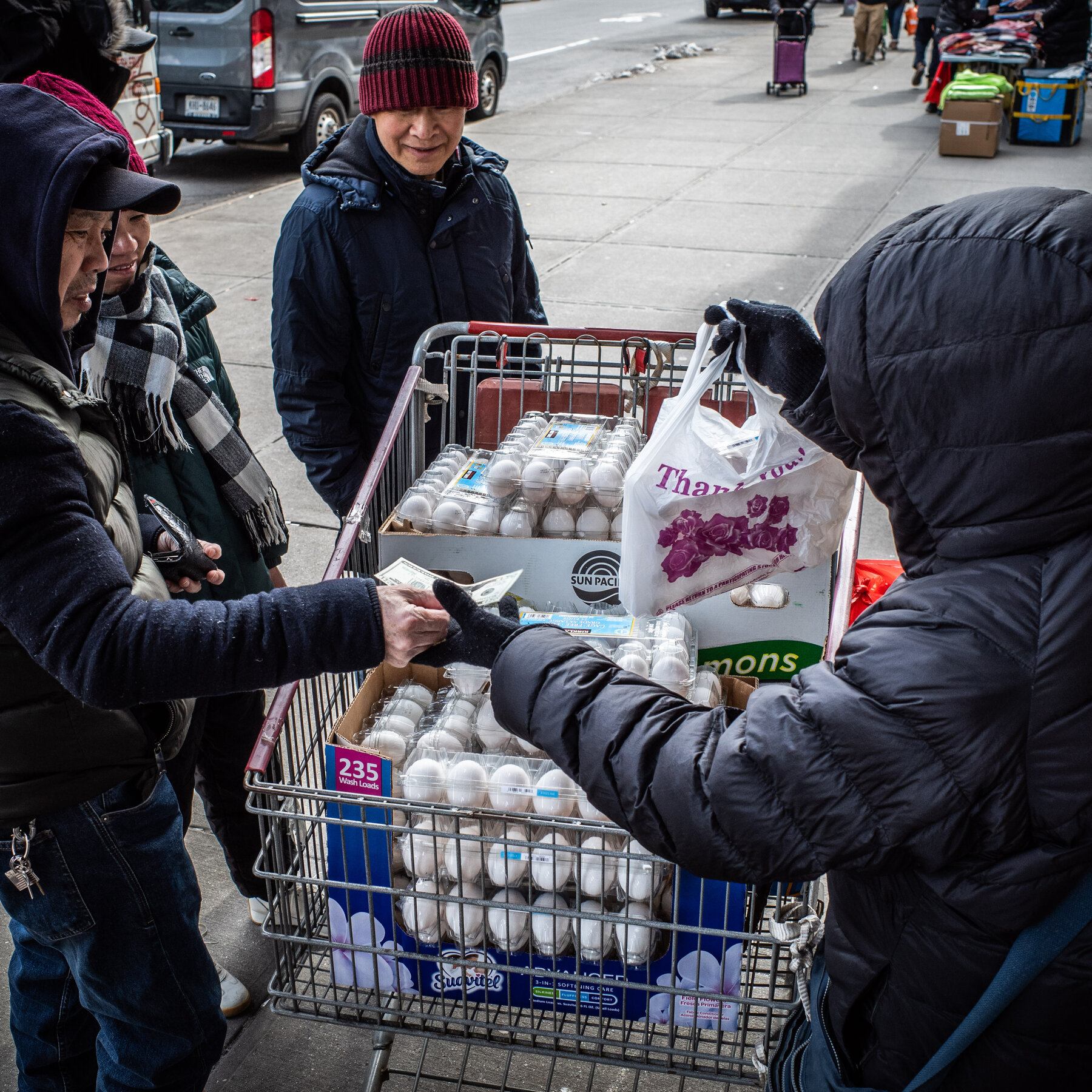 For Savvy New Yorkers, It’s All About Cheap Eggs and Where to Find Them