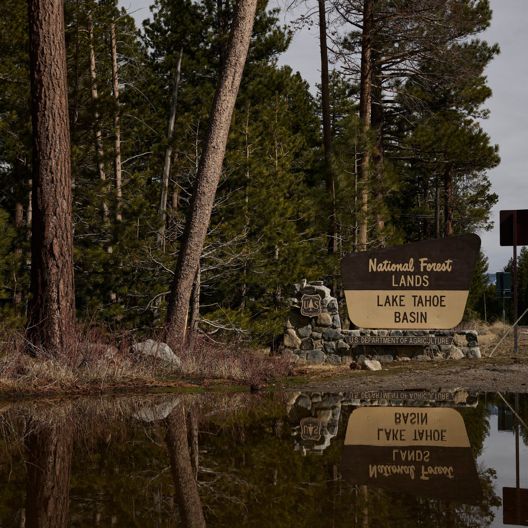 Government Budget and Staffing Cuts Could Close Facilities in California’s National Forests, Memo Says