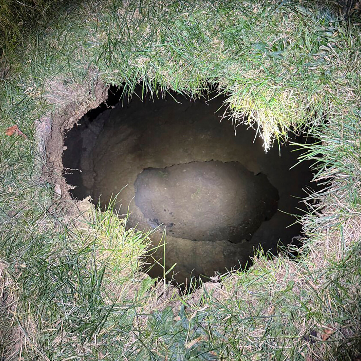 Grandmother Looking for Cat May Have Fallen Into Sinkhole, Authorities Say