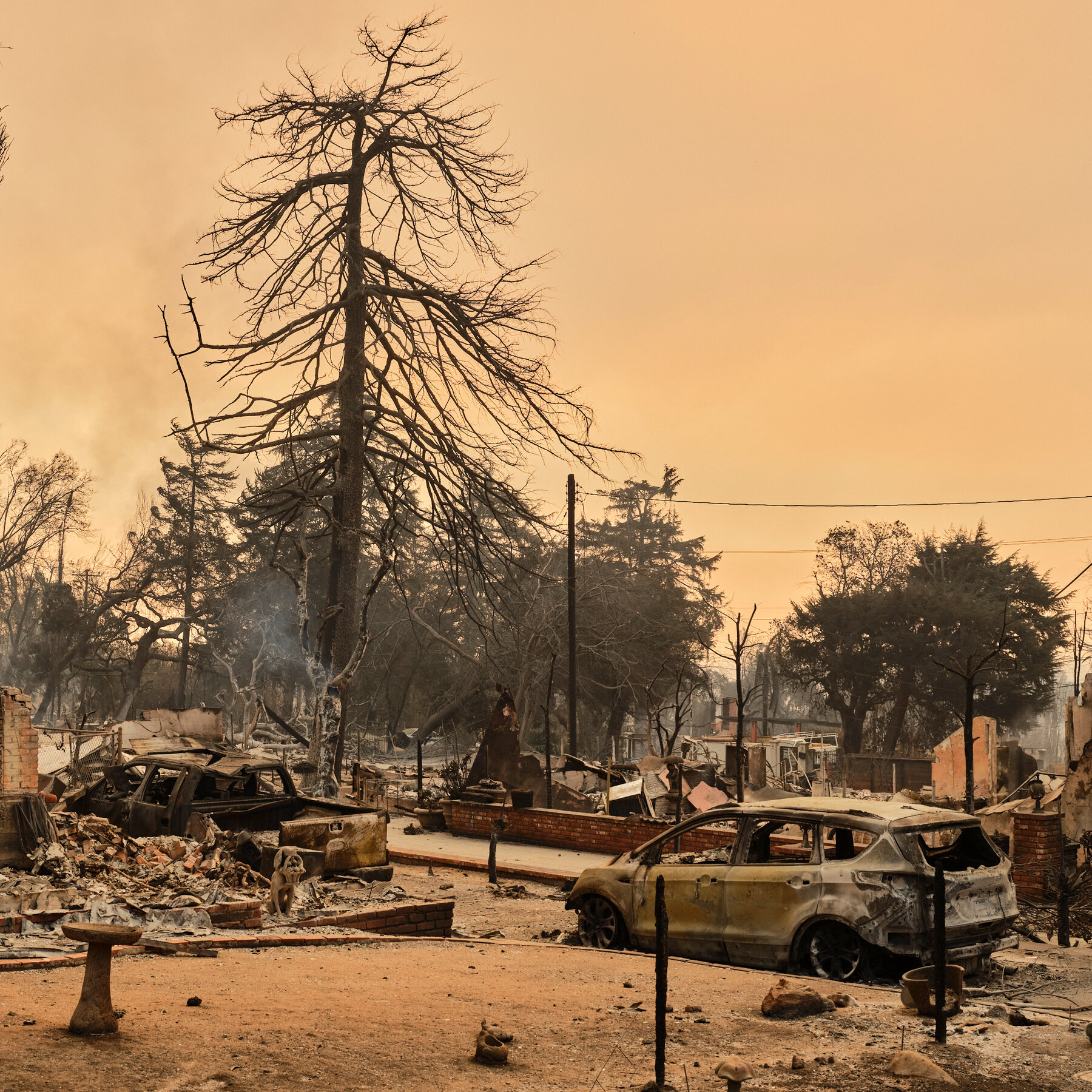 How to Help Victims of the Fires in Los Angeles