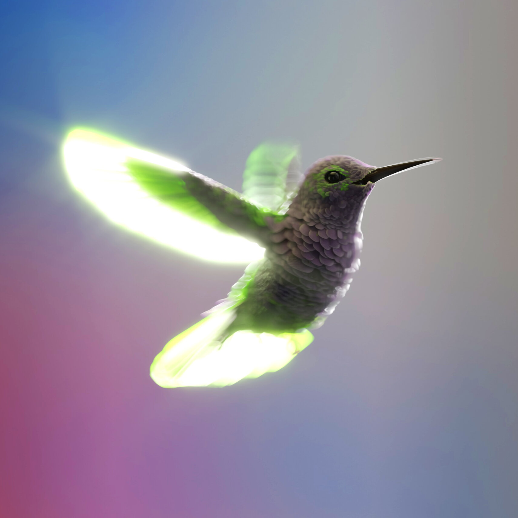 Hummingbirds’ Flight Offers Clues to Improve Drones