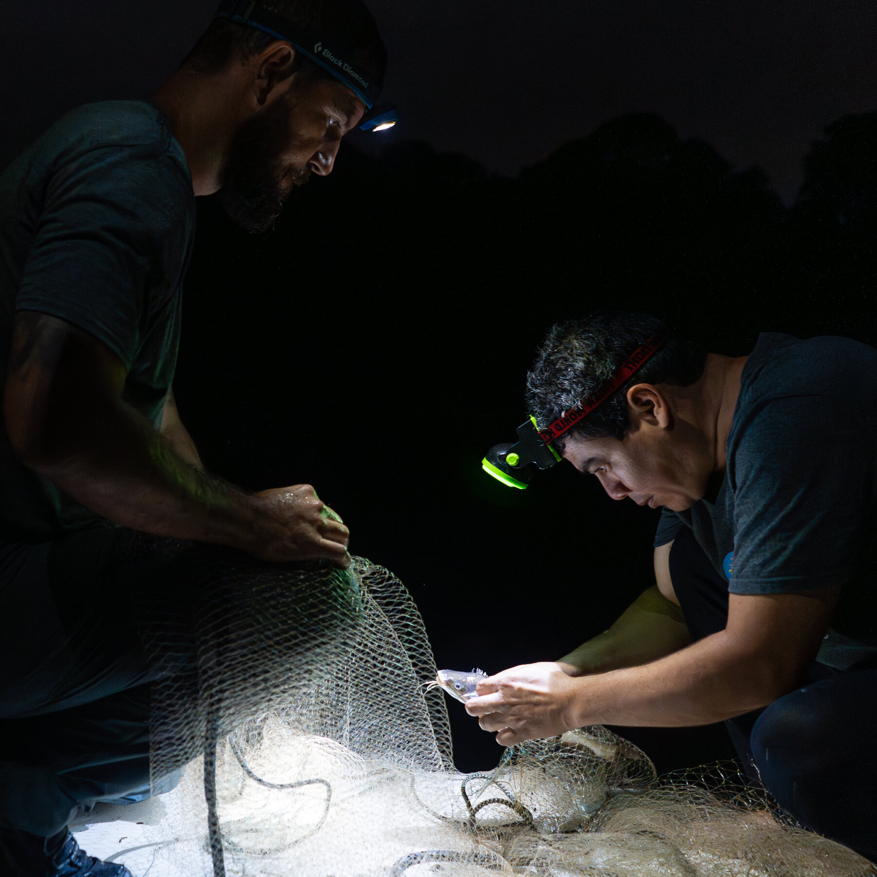 Panama Canal’s Expansion Opened Routes for Fish to Relocate