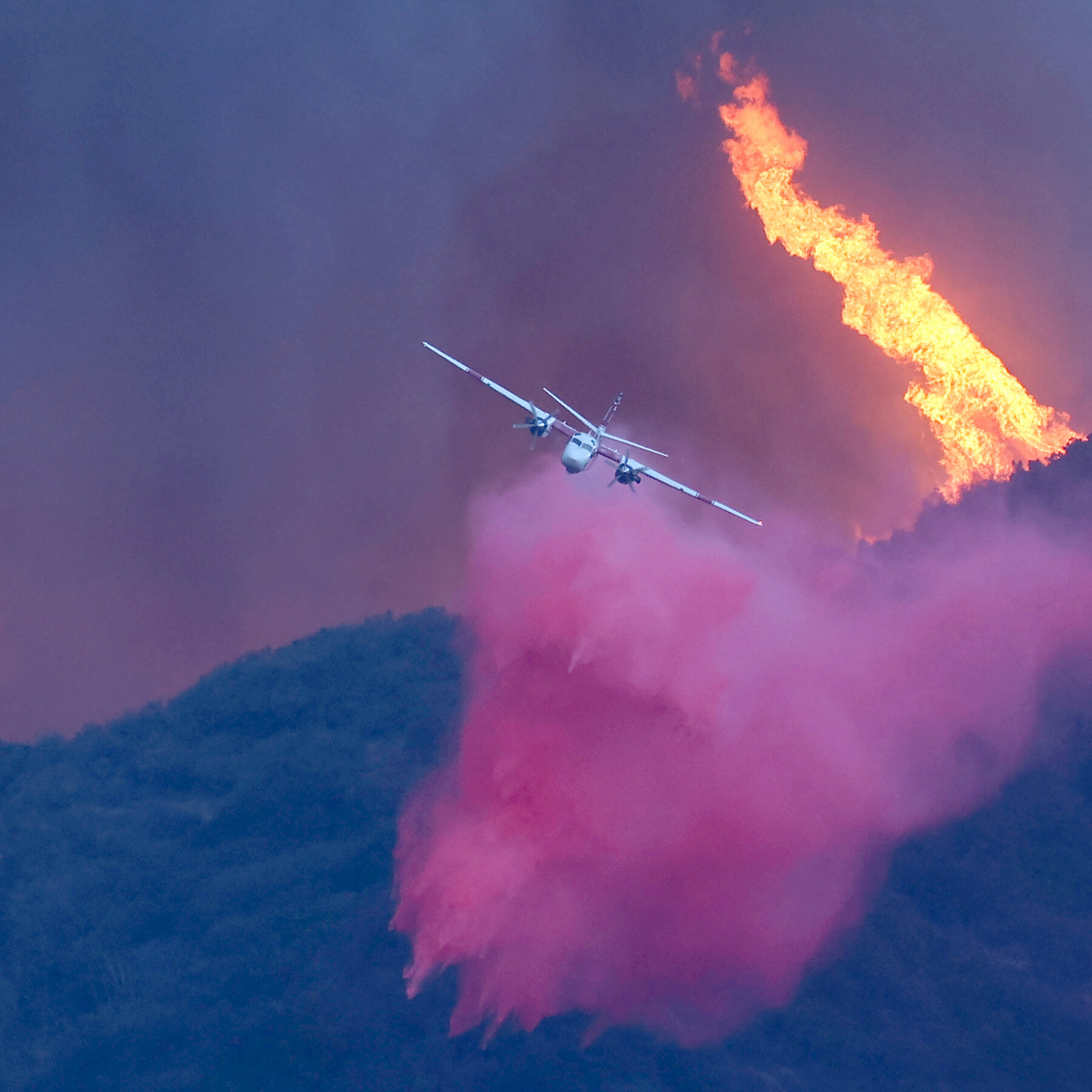 Pink Fire Retardant, a Dramatic Wildfire Weapon, Poses Its Own Dangers