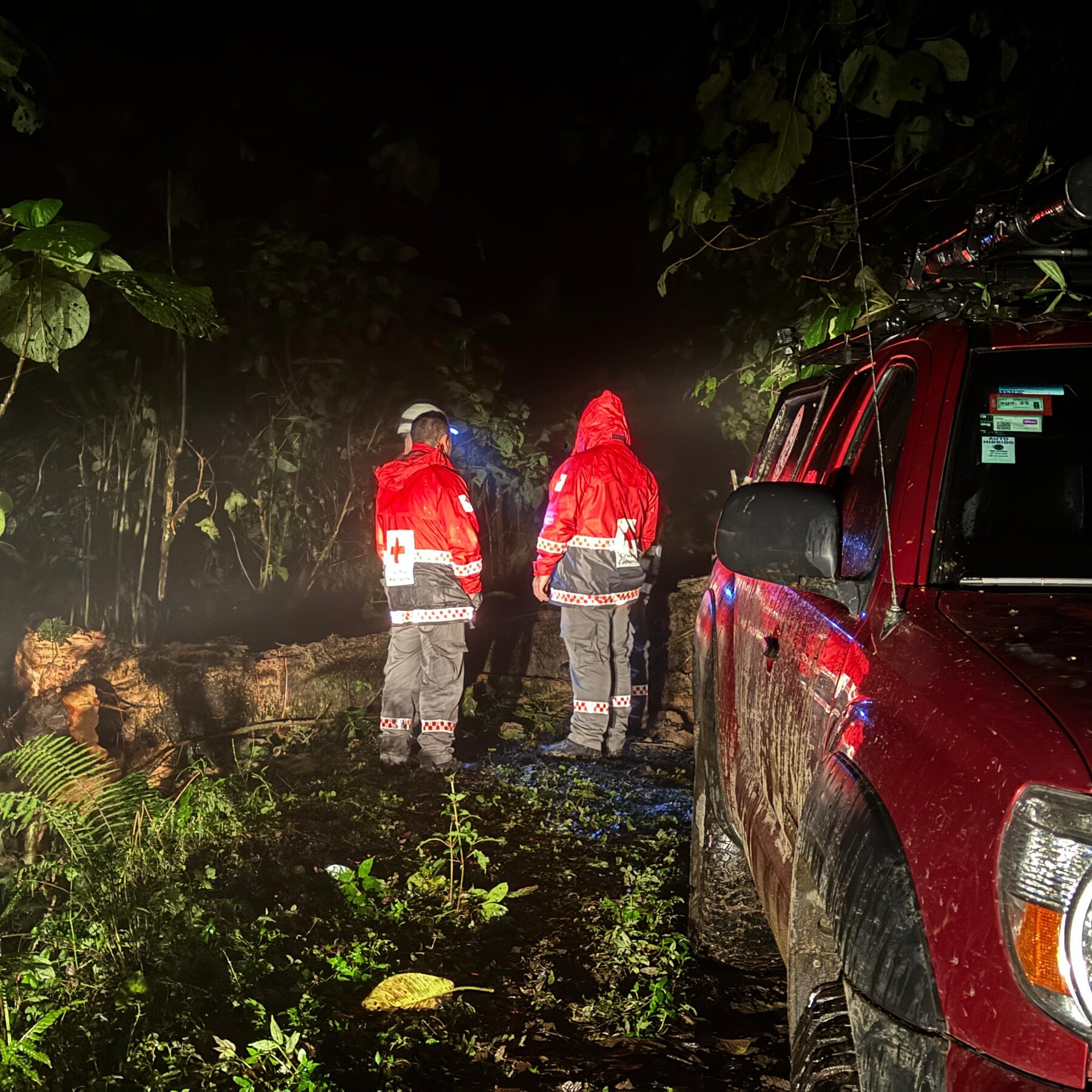 Rescuers Walk 14 Hours to Save Sole Survivor of Costa Rica Plane Crash