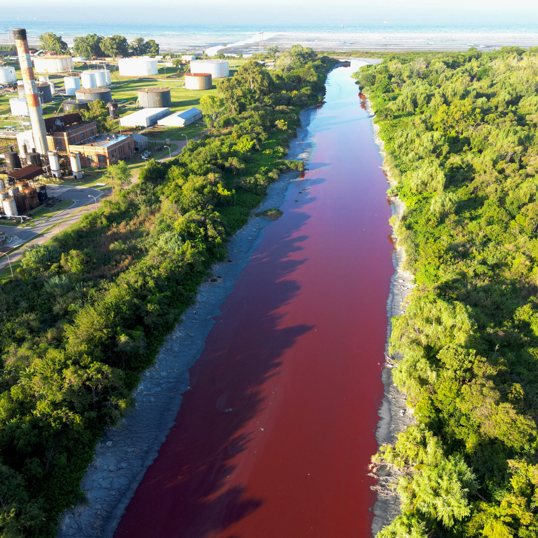 Stream Near Buenos Aires Turns Red, ‘Like a River Covered in Blood’