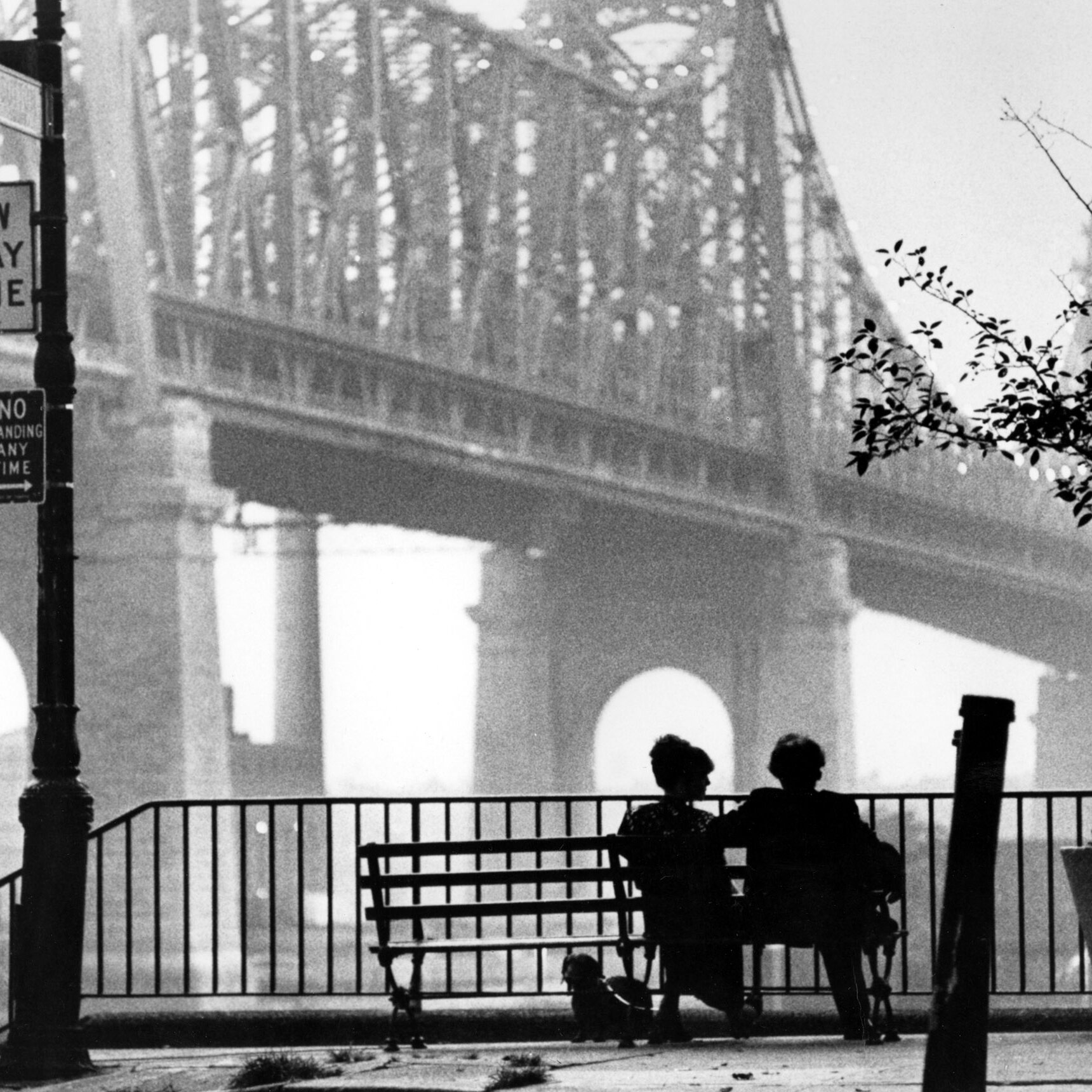 The Friendship Behind ‘Annie Hall’ and ‘Manhattan’