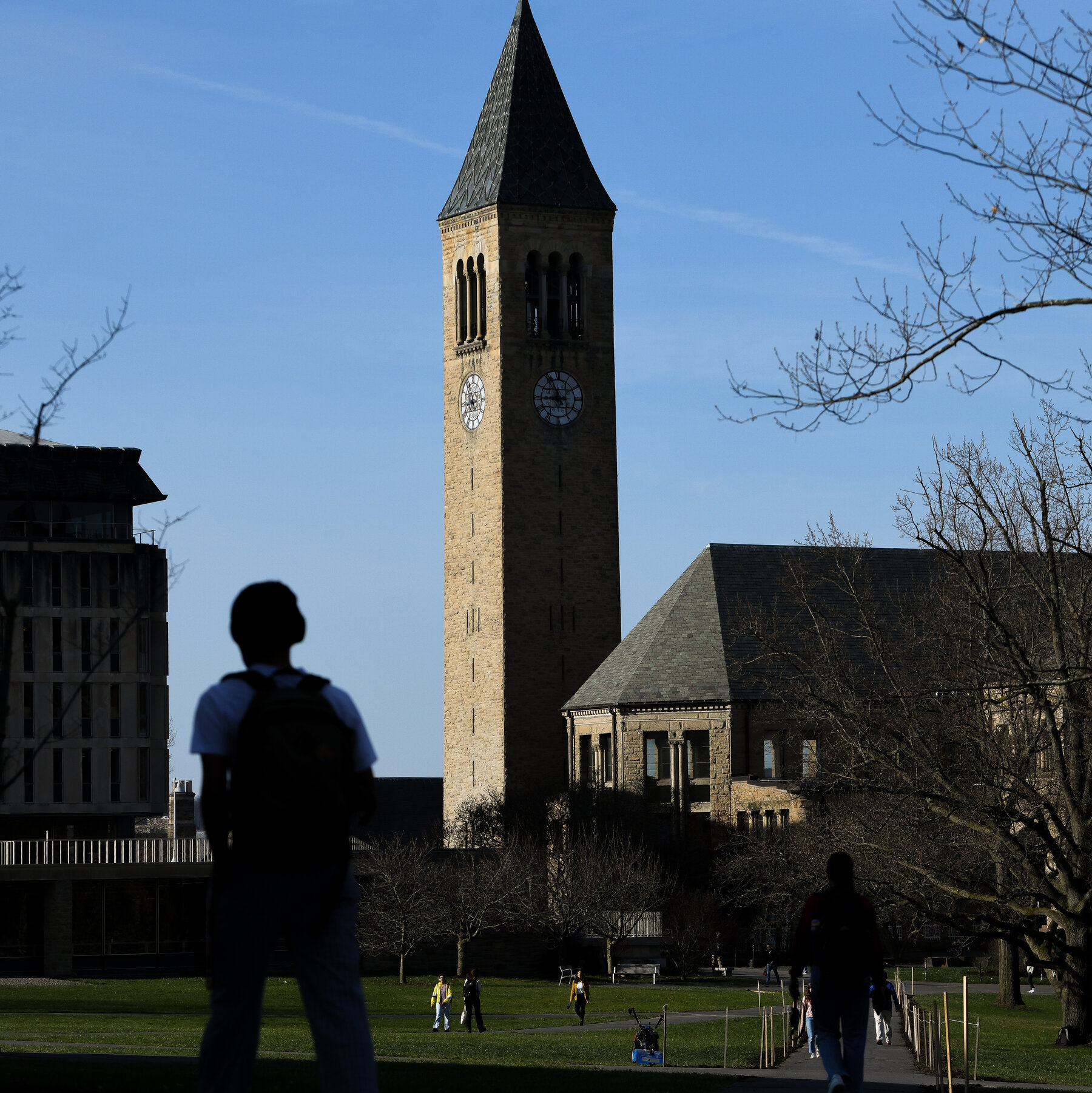 Universidades instan a estudiantes extranjeros a volver a EE. UU. antes de que Trump asuma