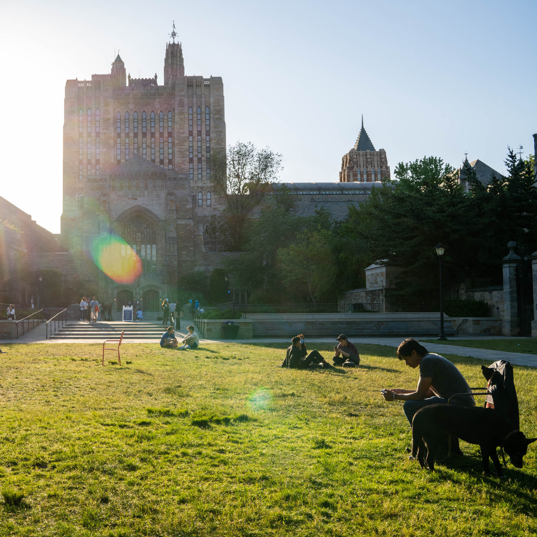 Yale, Princeton, Duke Are Questioned Over Decline in Asian Students